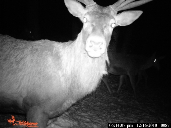 SKUSKA NOVEHO FOTO ZARIADENIA 2