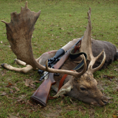 jagd