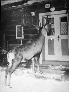 krsnučká s kamarátom Mišom