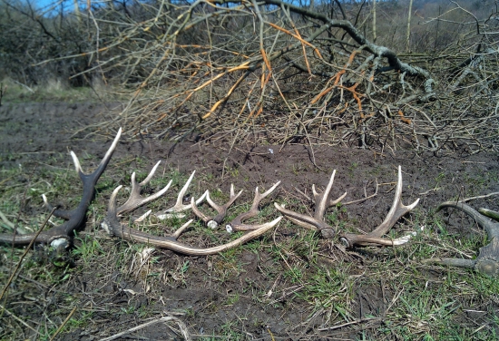 trochu se nám zadařilo:))