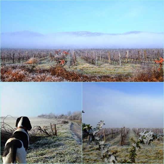 trasa nasa kazdodenna..