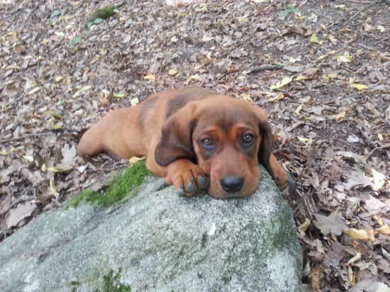 ďalej už nejdem ;)