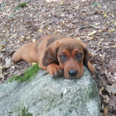 ďalej už nejdem ;)