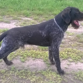 CEZAR