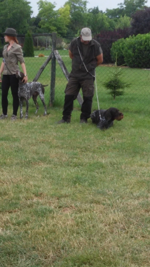 CEZAR vítaz FSS  lc.