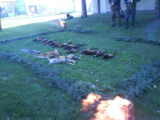 skromný výrad...ale je