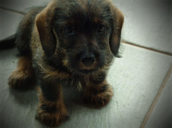 Moja nová kamarátka