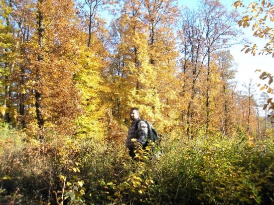 jeseň