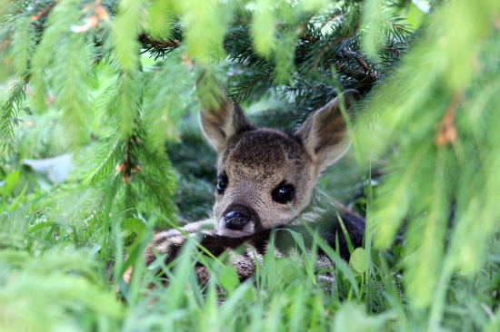 Veľa šťastia v živote