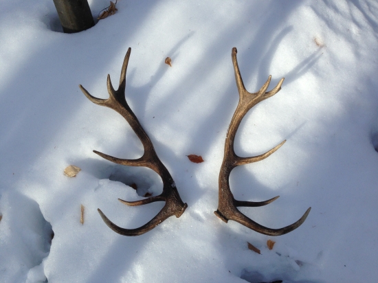 Nič moc..ale poteší