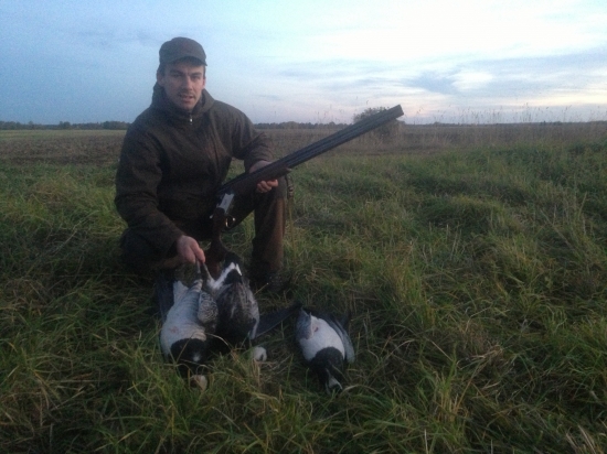 Estonsko-snežne husi