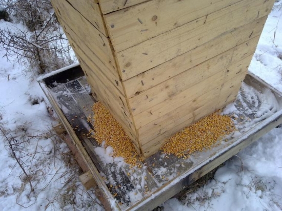 Samospadovy zasipec pre diviaky