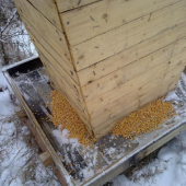 Samospadovy zasipec pre diviaky