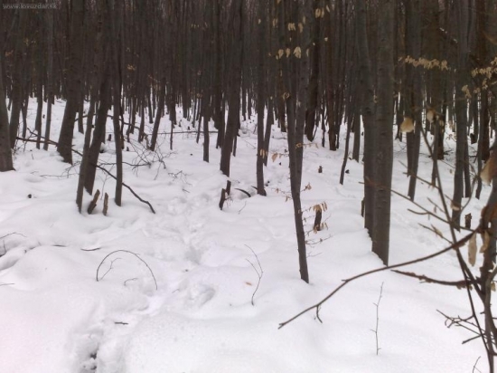 A mam ho.14.torak-2.50kg