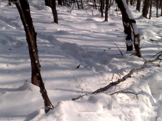 16.toracik-3.5kg-Prvy pohlad