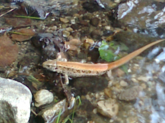 aj schladiť sa treba