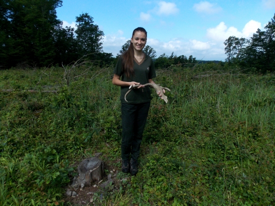 dnešný na praxi ...
