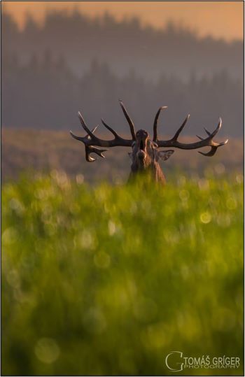 V septembri na lúke