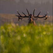 V septembri na lúke