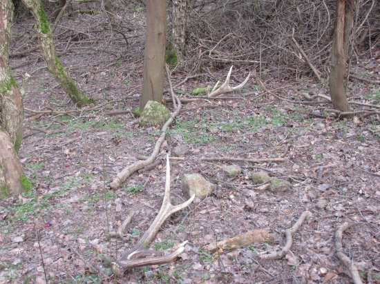 dnešná prechádzka