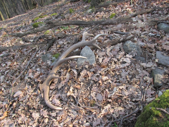 prvý pohľad najkrajší