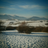 Priroda