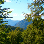 Príroda