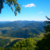 Príroda