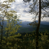 Príroda