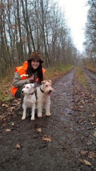 Spoločna poľovačka