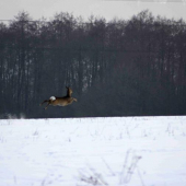 Len tak si plávam vzduchom