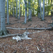 SRATIL SA V SMOLENICIECH