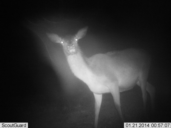 Dych lane do objektívu