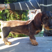 felix 4,5 mesiaca