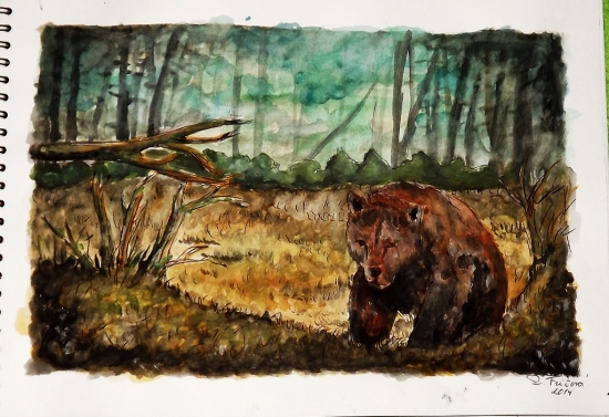 Túlanie smutného medveďa