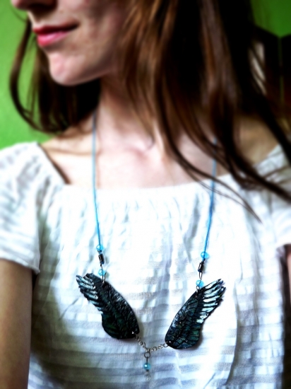 Pre sokoliarky, ornitologičky a milovníčky vtákov :)