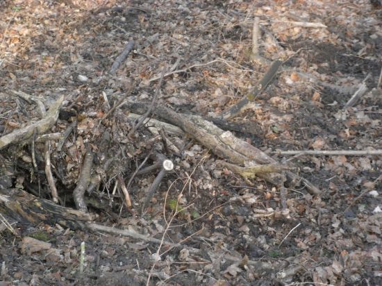 Ten bol ale schovaný...