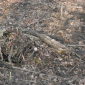 Ten bol ale schovaný...