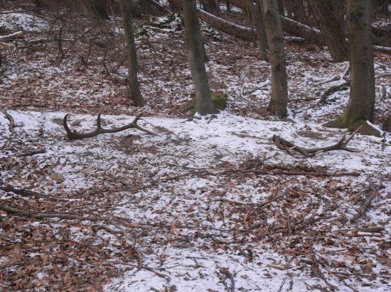 zadari sa aj tento rok tak ako vlani?