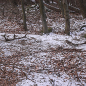 zadari sa aj tento rok tak ako vlani?