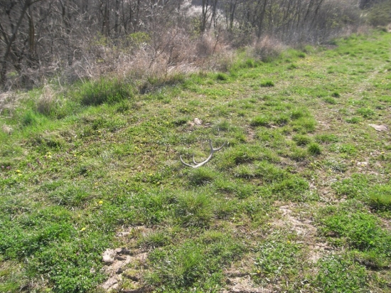 konecne sa stastie unavilo...