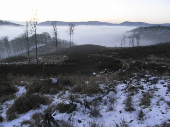 Karpatska inverzia