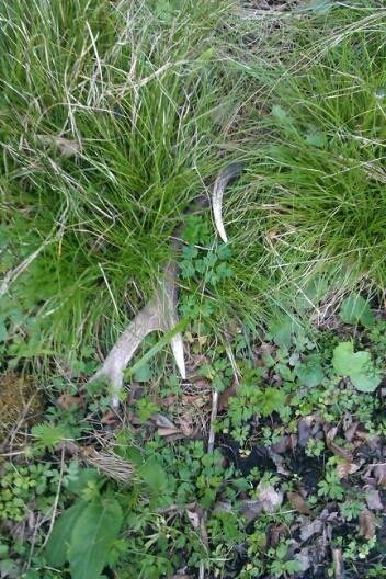 takto ma tam čakal :)