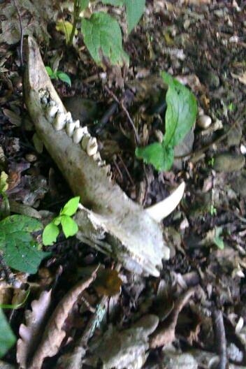 škoda  že len toto :( :)