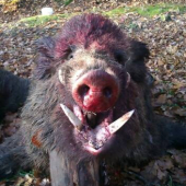 Prvá spoločná poľovačka 2014