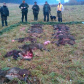 Hosťovská spoločná poľovačka Kotešová