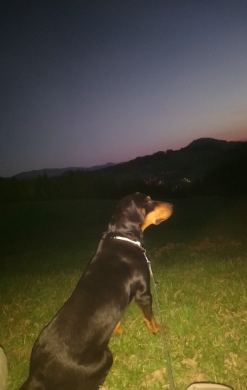 050050