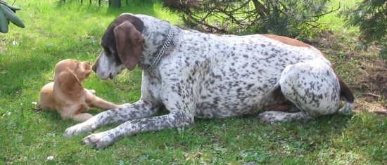 Odpočinek s   kamarádem.