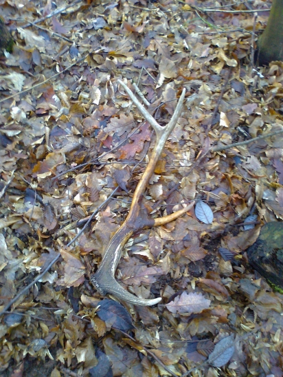 zabudnutý ale potesil:D