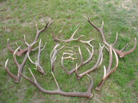 sezóna 2018 ukončená